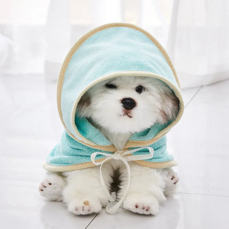 Dog in a WellKin Quick-Dry Robe after an adventure